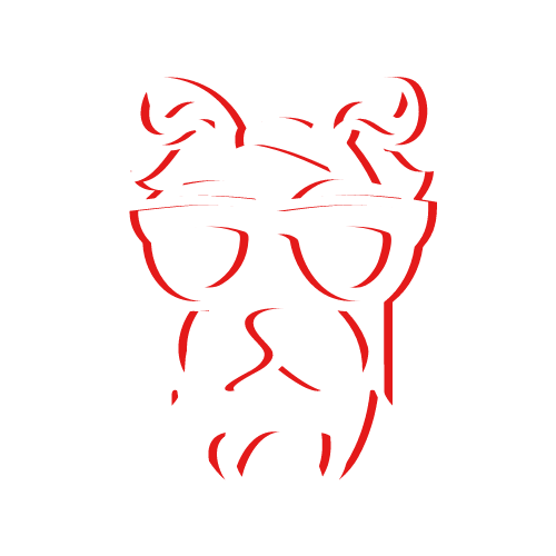 MGR DOG Szkolenie Psów